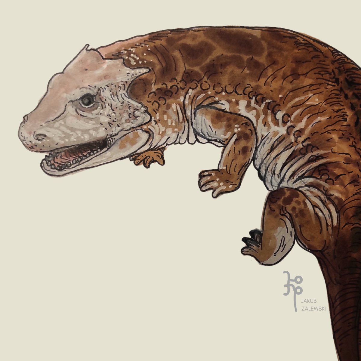 XaimePaleo's tweet photo. #temnovember2023 day 2
Stegops from Dissorophoidae. His family belongs to Dissorophoidea, clade that also contains Amphibamiformes that are (possible) ancestors of modern amphibians!
Carboniferous (Pensylvanian) ~315 Ma
#temnospondyl #stegops #paleoart #dissorophoroid https://t.co/HNSgQLEDmu