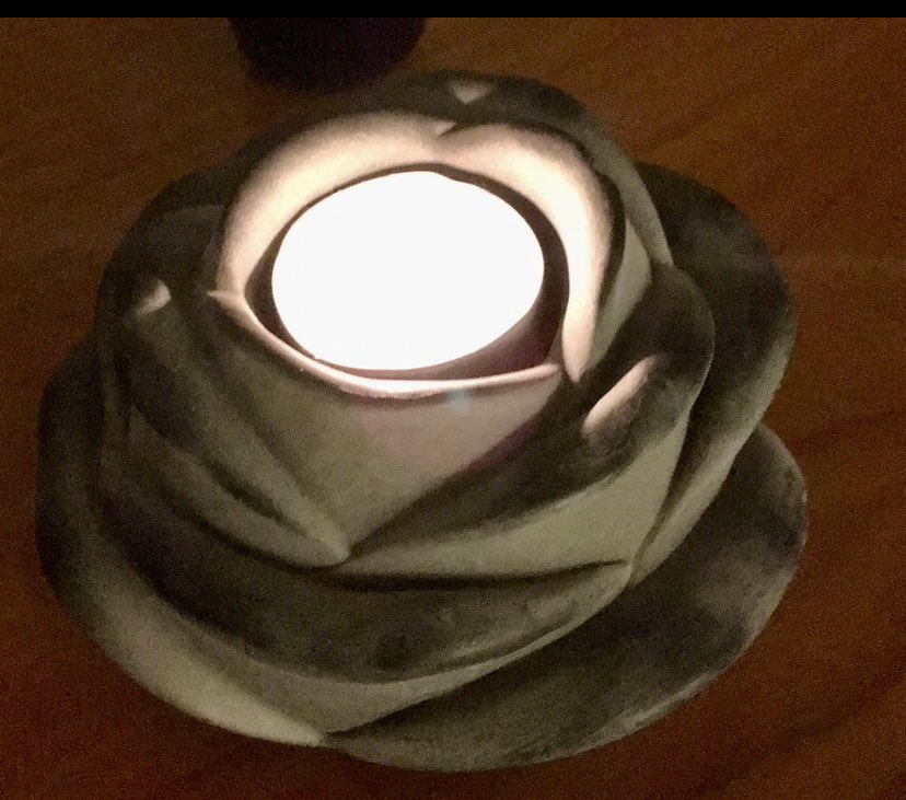 wolf_ninamarie's tweet photo. @monarchin @nanebe75 @LandauDaniel #YesWeCare @LandauDaniel https://t.co/378ReBoYzL