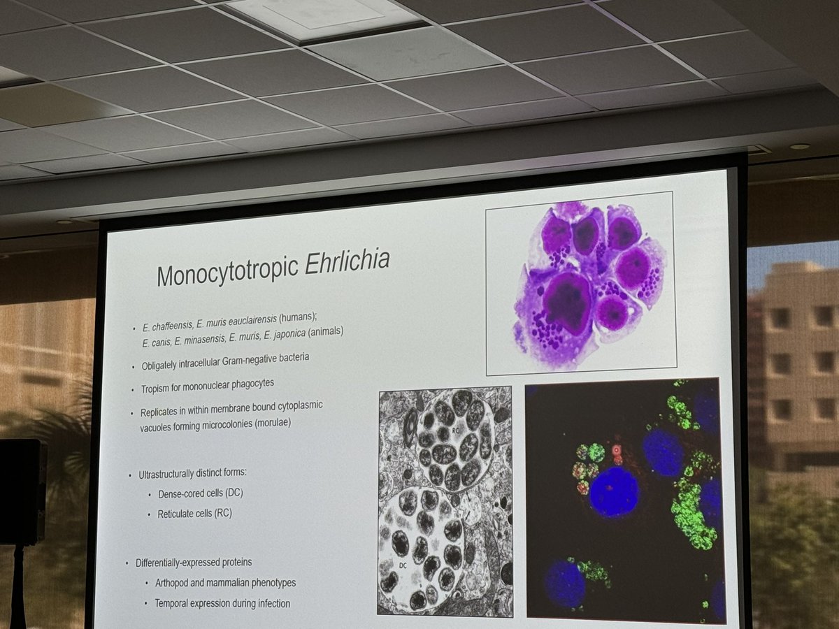 Nikos Vasilakis tweet media