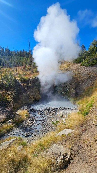 noushinalina's tweet photo. #Yellowstonepark
#USA https://t.co/jrQnJYwciZ