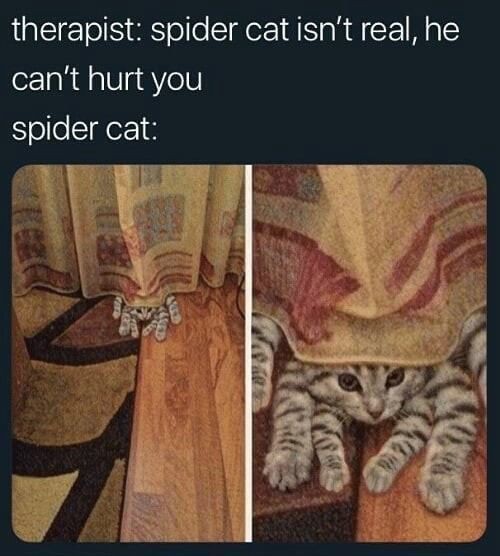 Shaibu ❤️ Memecoin tweet media