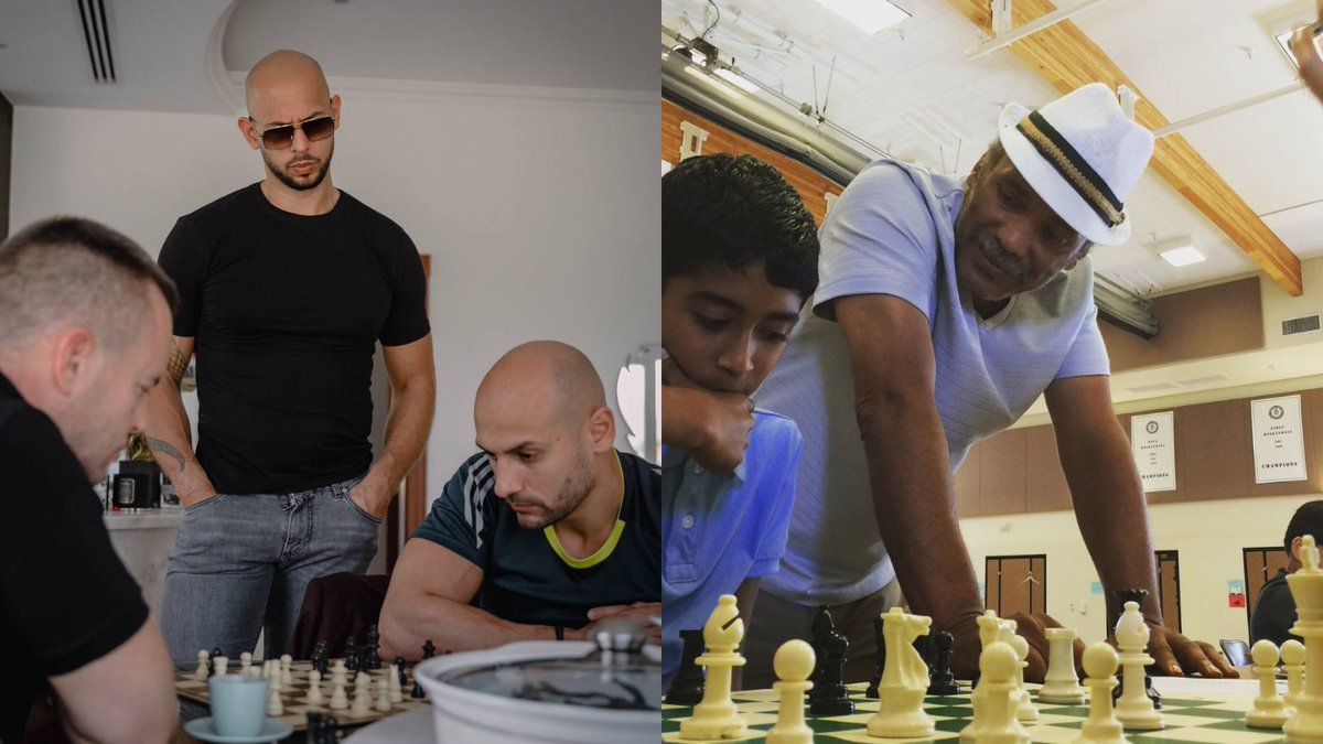 Andrew Tate tweet media