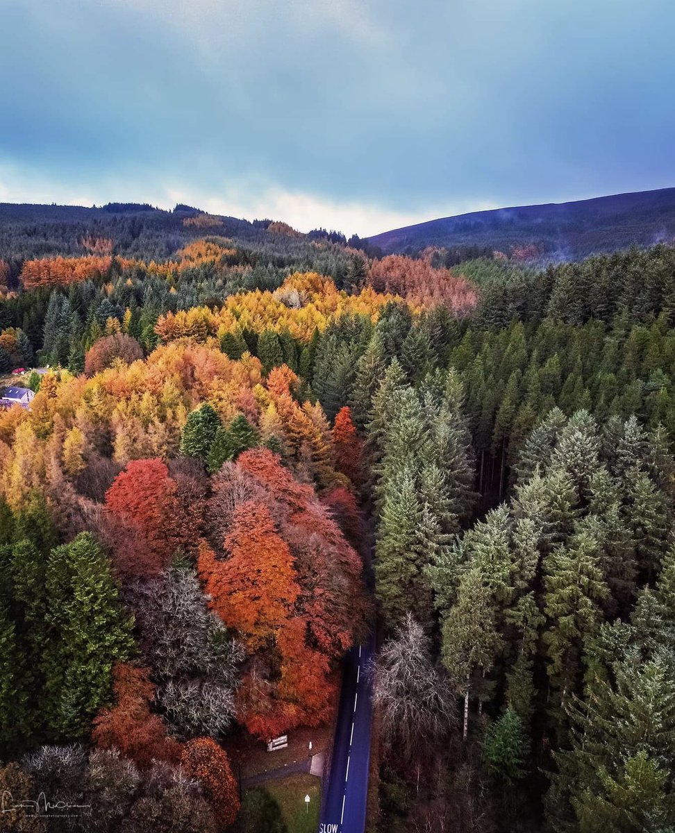 liamslandscapes's tweet photo. An autumnal aerial view of the Gortin Glens Co Tyrone @angie_weather @WeatherCee @WeatherAisling @bbcniweather @barrabest #aerialphotography #AutumnVibes #gortinglens #November2023 https://t.co/21H7NVQbUi