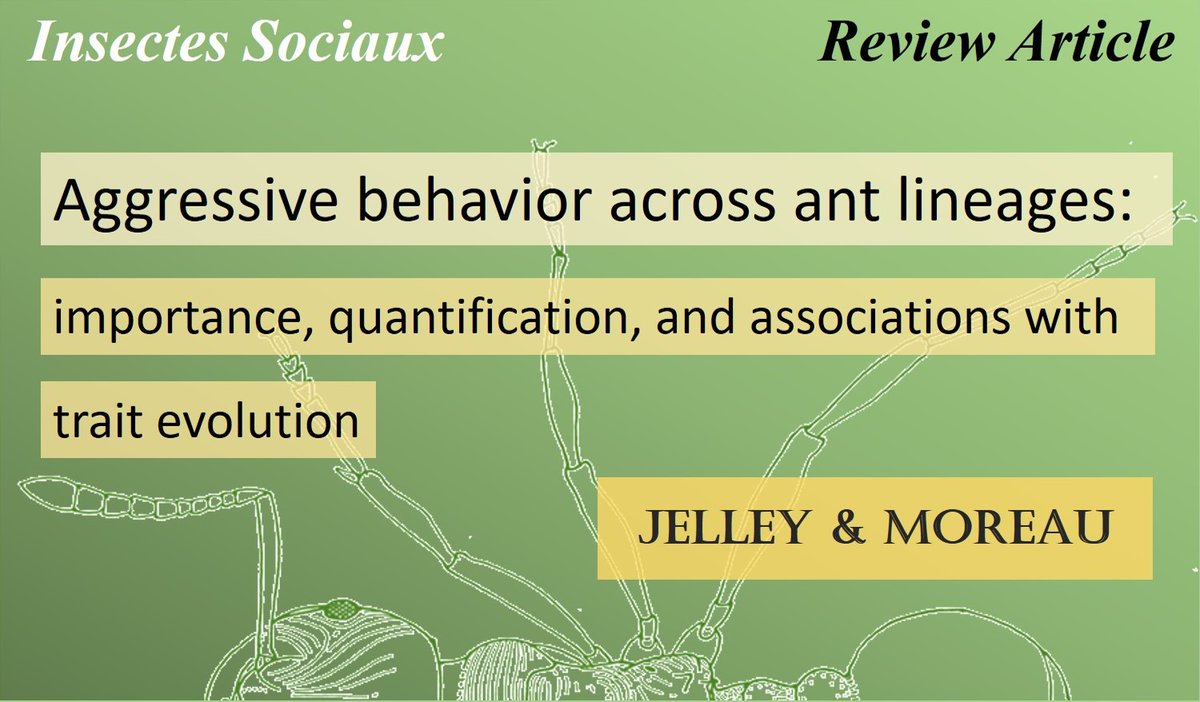 Insectes Sociaux tweet media