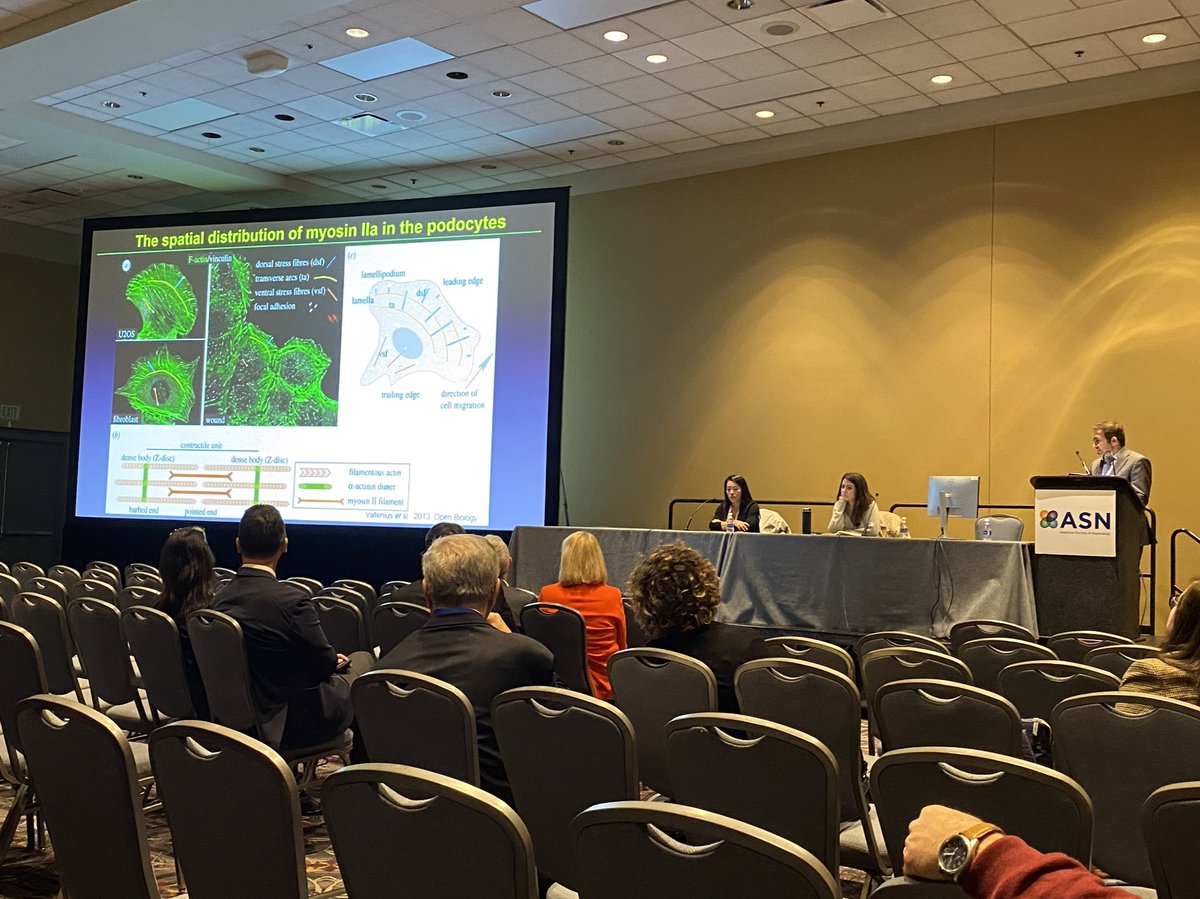 JeffMinerPhD's tweet photo. Hani Suleiman @hansul wowing the audience with extraordinary podocyte images.  @WUNephrology https://t.co/87wBhDi56S