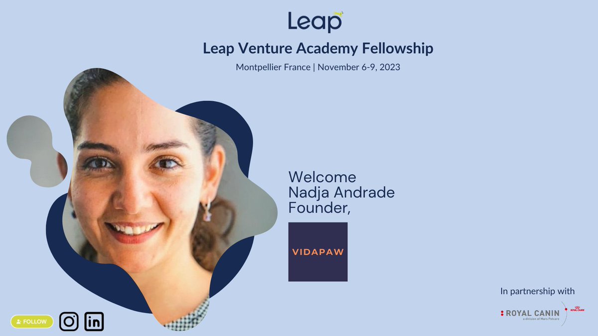 Leap Venture Studio & Academy tweet media