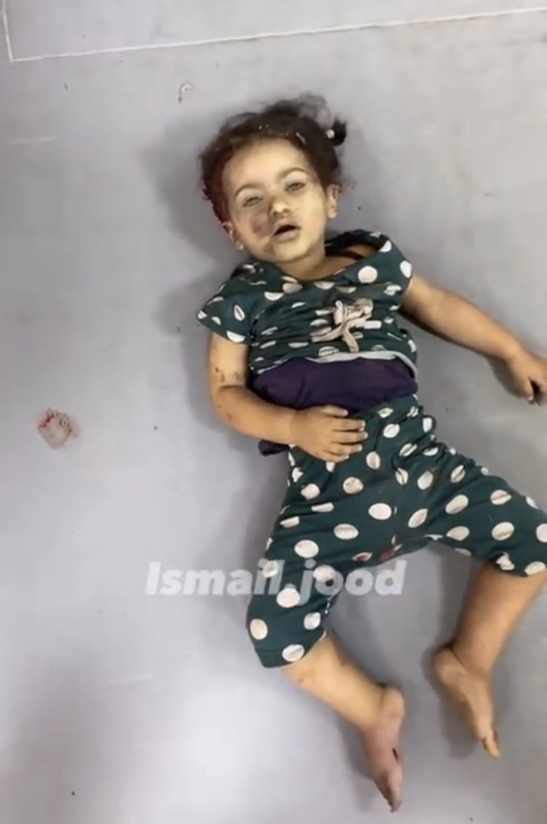 لو كانت مؤاتية لأجندة المنظمات "الانسانية" لكنتوا شفتوا هالصورة صارت viral وعملوها رسومات وحملات اعلامية مع slogans…

يلعن انسانيتكم.