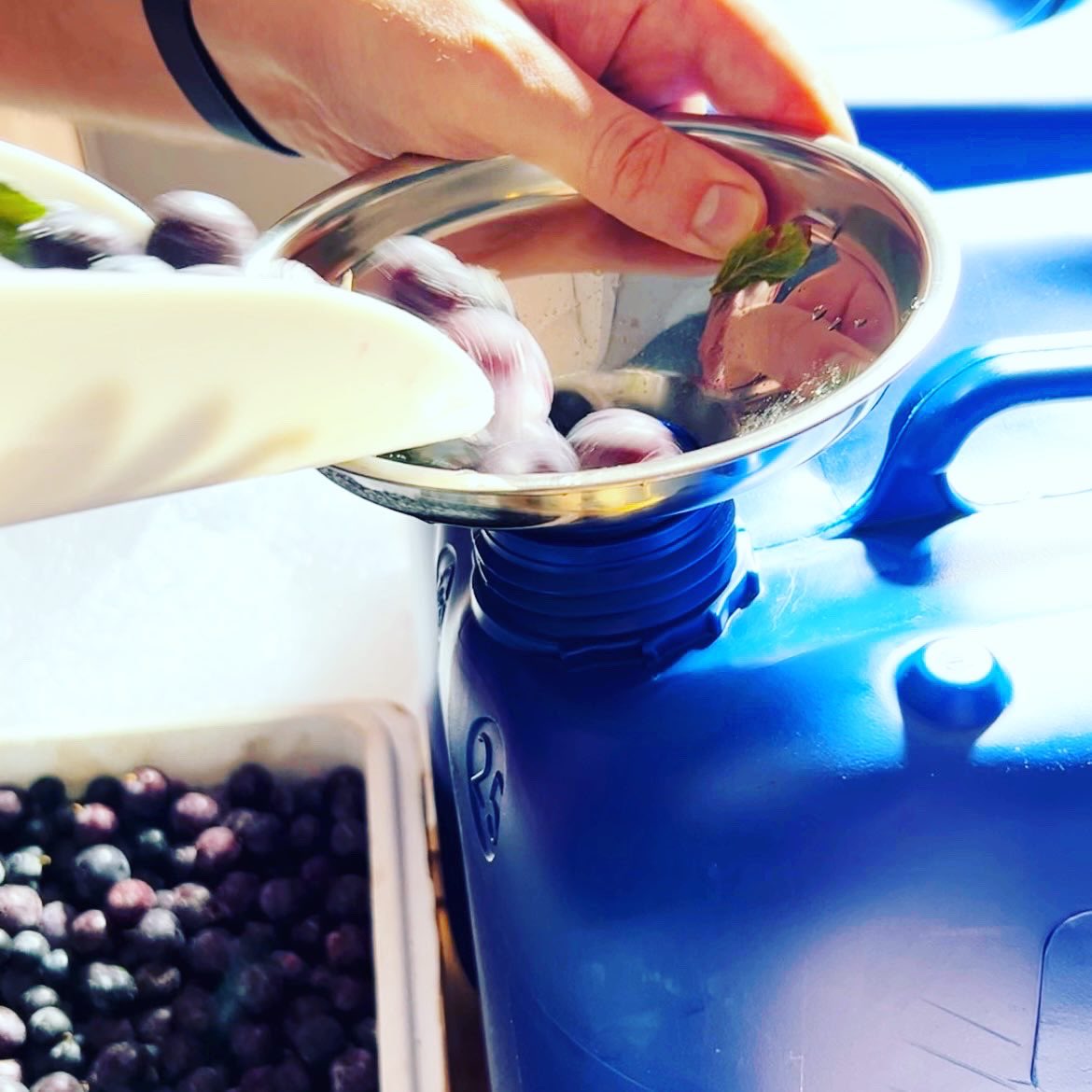 Antenna Gin tweet media