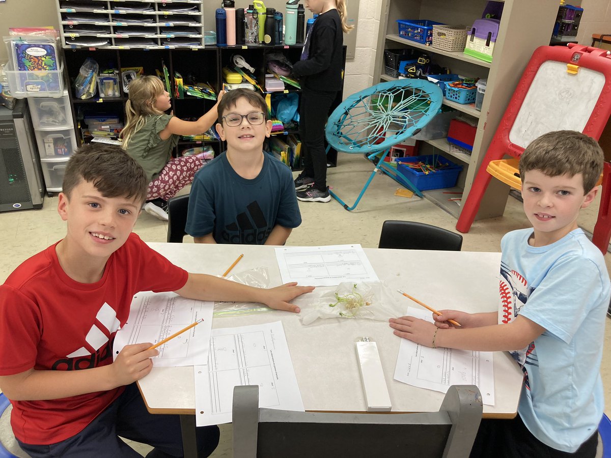 So impressed with our seeds.