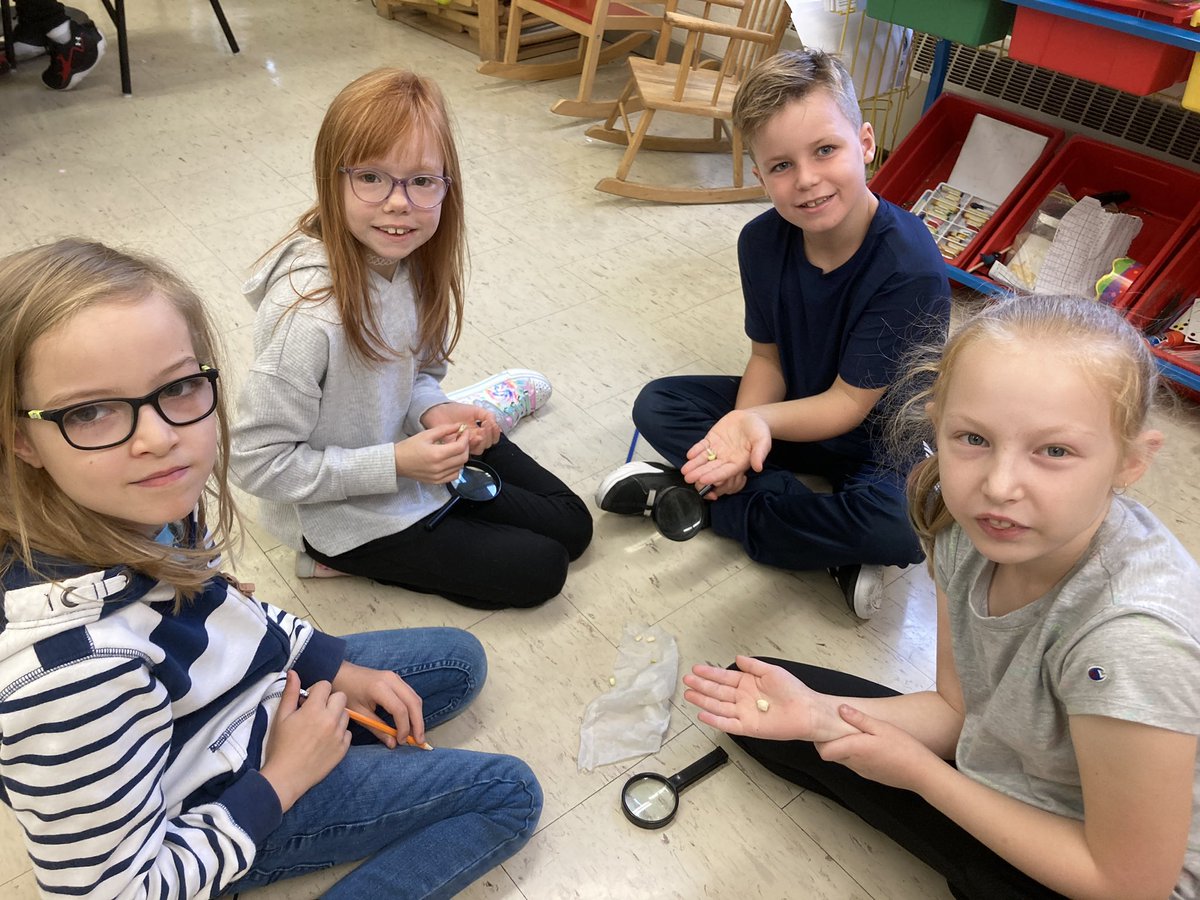 Observing our seeds 🌱