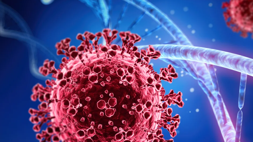 REPO4EU (@repo4eu) on Twitter photo #ScienceFridays🔬 ‘Polypharmacology guided drug repositioning approach for SARS-CoV2’ ✍️ by researchers from <a href="/AcSIR_India/">AcSIR</a> and <a href="/CSIR_NEIST/">CSIR-NEIST</a>
Research paper of the week selected via our #DrugRepurposing Research Collection on <a href="/Science_Open/">ScienceOpen</a> 👇
scienceopen.com/document?vid=7… #ScienceFridays🔬 ‘Polypharmacology guided drug repositioning approach for SARS-CoV2’ ✍️ by researchers from <a href="/AcSIR_India/">AcSIR</a> and <a href="/CSIR_NEIST/">CSIR-NEIST</a>
Research paper of the week selected via our #DrugRepurposing Research Collection on <a href="/Science_Open/">ScienceOpen</a> 👇
scienceopen.com/document?vid=7…