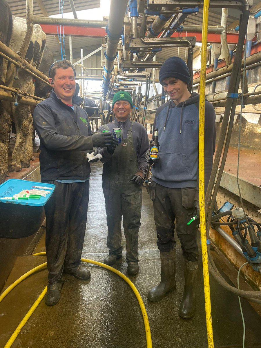 Patrick Horgan tweet media