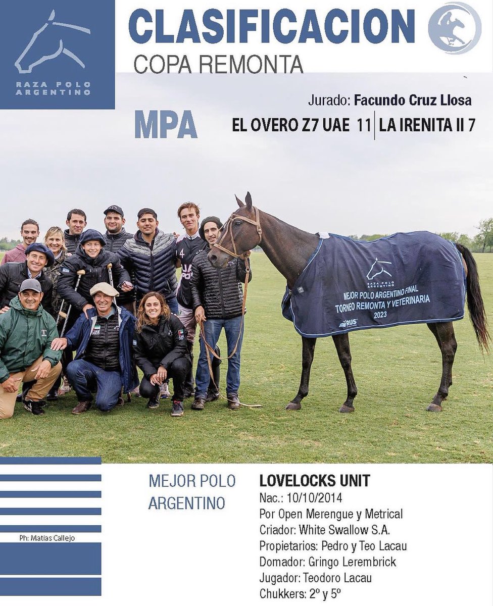 Lovelocks Polo Stud tweet media