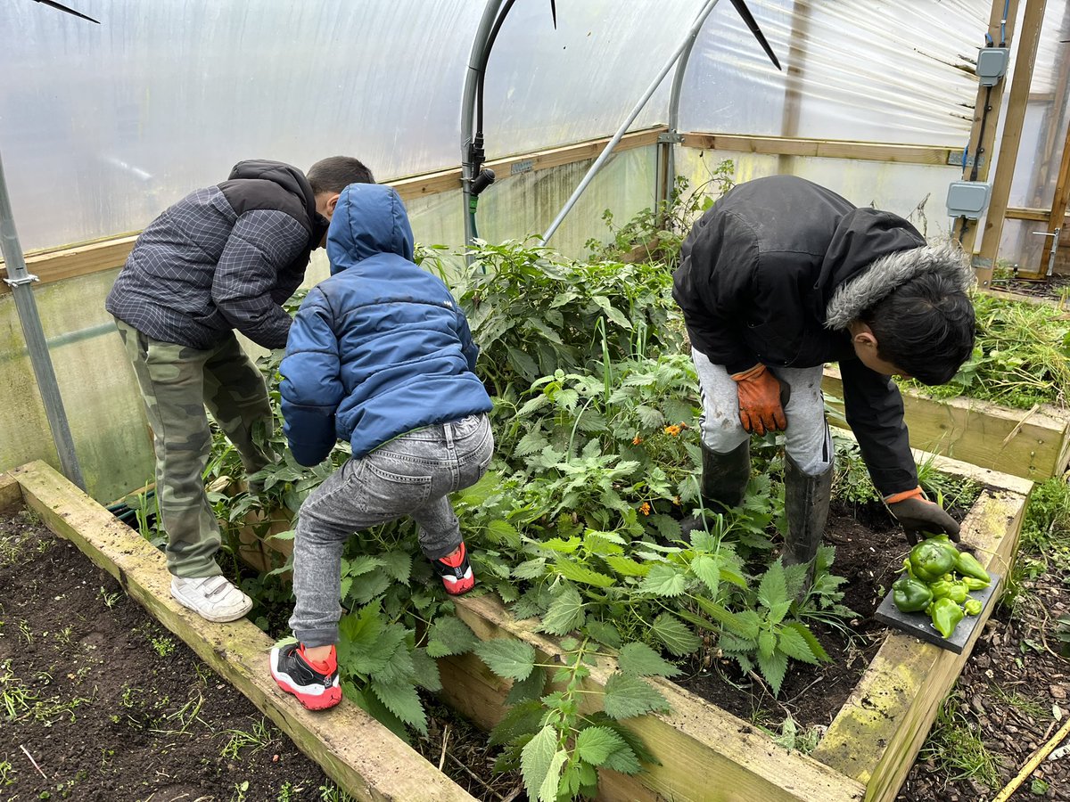The team in the polytunnels today for an Autumn clean up and turning off the irrigation system so it doesn’t freeze… lots of produce over Summer and now for the Winter planting… we could do with sponsorship/donation of soil/compost and bark chippings for the growing areas…