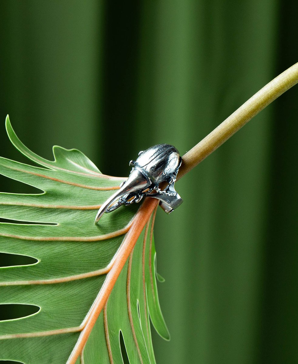 Una joya que rinde homenaje a la majestuosidad y el poder del escarabajo Hércules, uno de los insectos más grandes del mundo. Lleva su fuerza y belleza en tu mano con esta pieza única. 🪲💍

#EscarabajoHércules #JoyasNaturaleza #Joyasdeplata #Joyasmexicanas