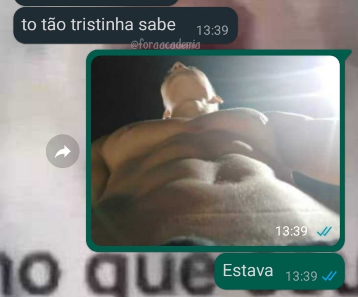 academia fora de contexto (@foraacademia) on Twitter photo 