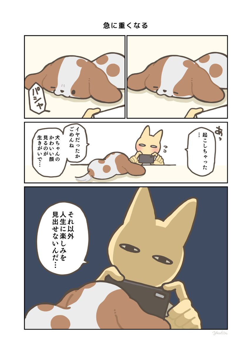 犬を愛するあまり様子のおかしい飼い主4選