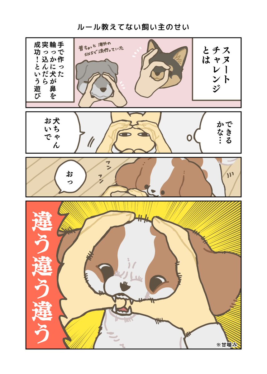 絶妙に意志の疎通が取れない犬と人間