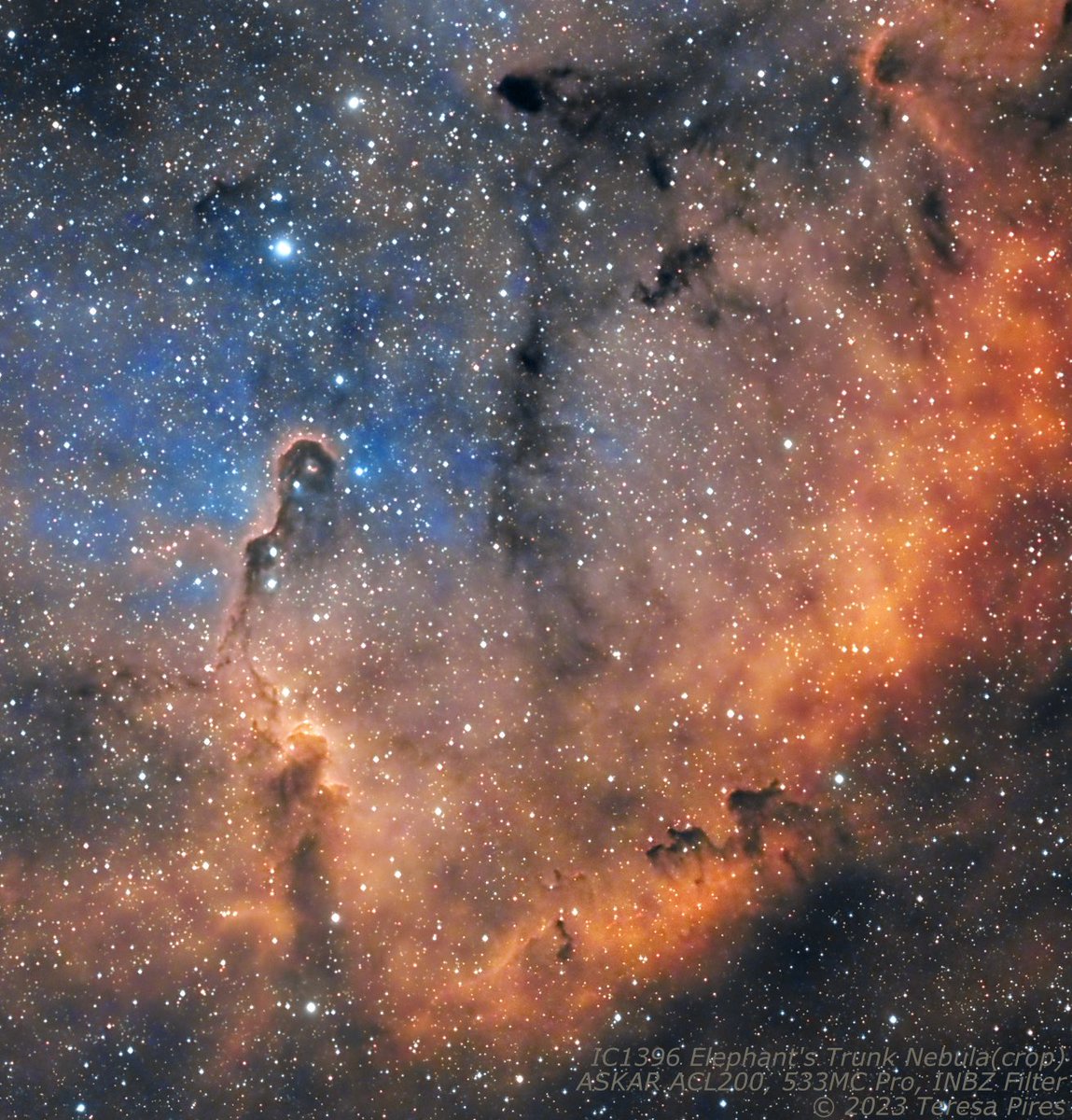 Teresa, MMM 🇵🇹🇺🇦🌻 tweet media