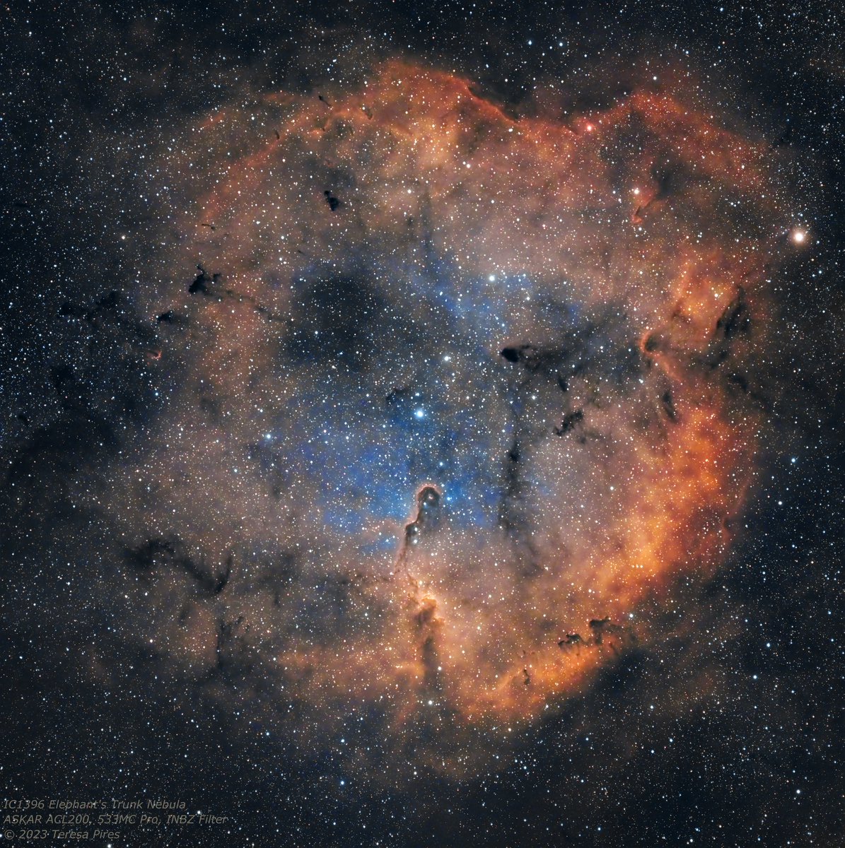 Teresa, MMM 🇵🇹🇺🇦🌻 tweet media