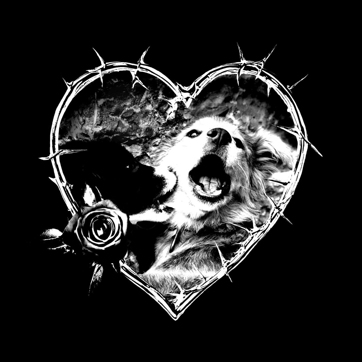 music to fall in &amp; out &amp; in &amp; out &amp; in &amp; out of love too.

Hateful Hearts Club

out on all platforms 
linktr.ee/whyreyousokrewl