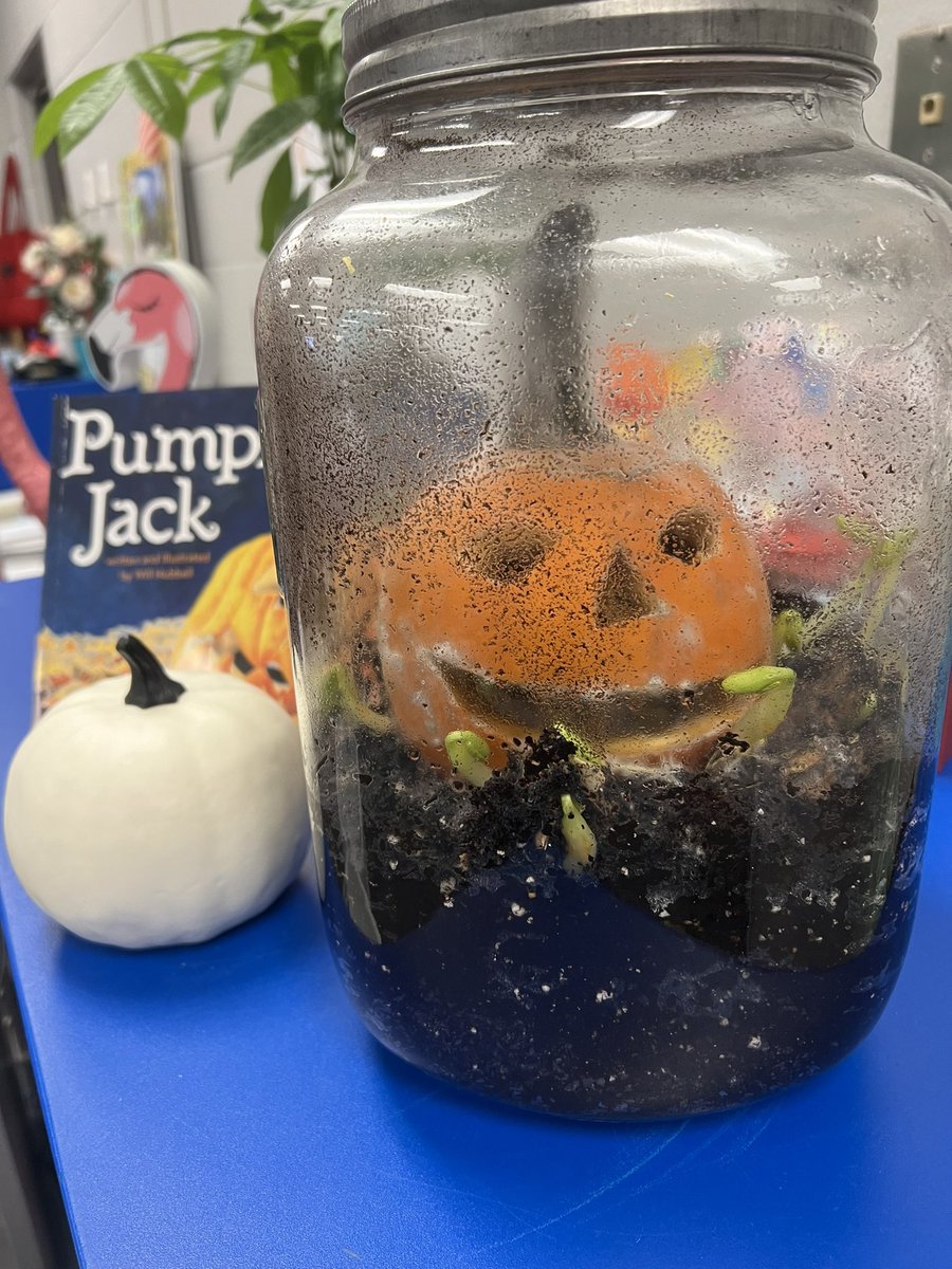 MicheleLM's tweet photo. Pumpkin Jack is back! We will watch his changes all school year in the Hub! @Creeksidetweet https://t.co/N62kqM94X5