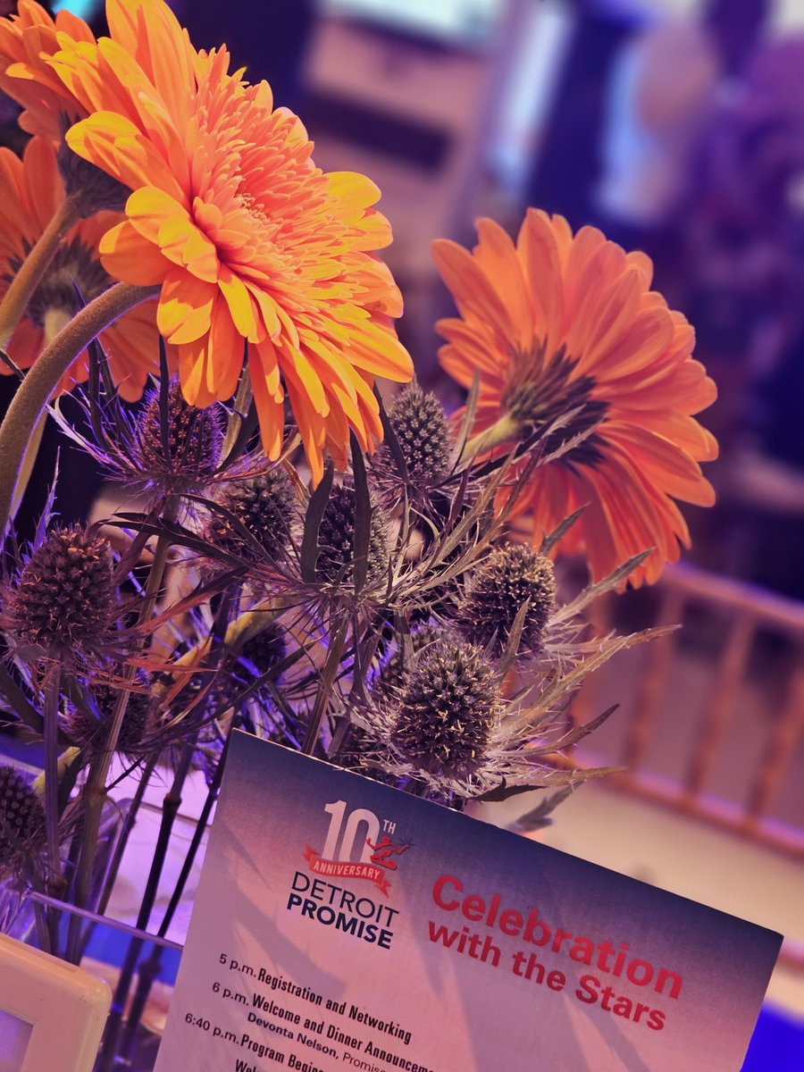 Detroit Promise tweet media