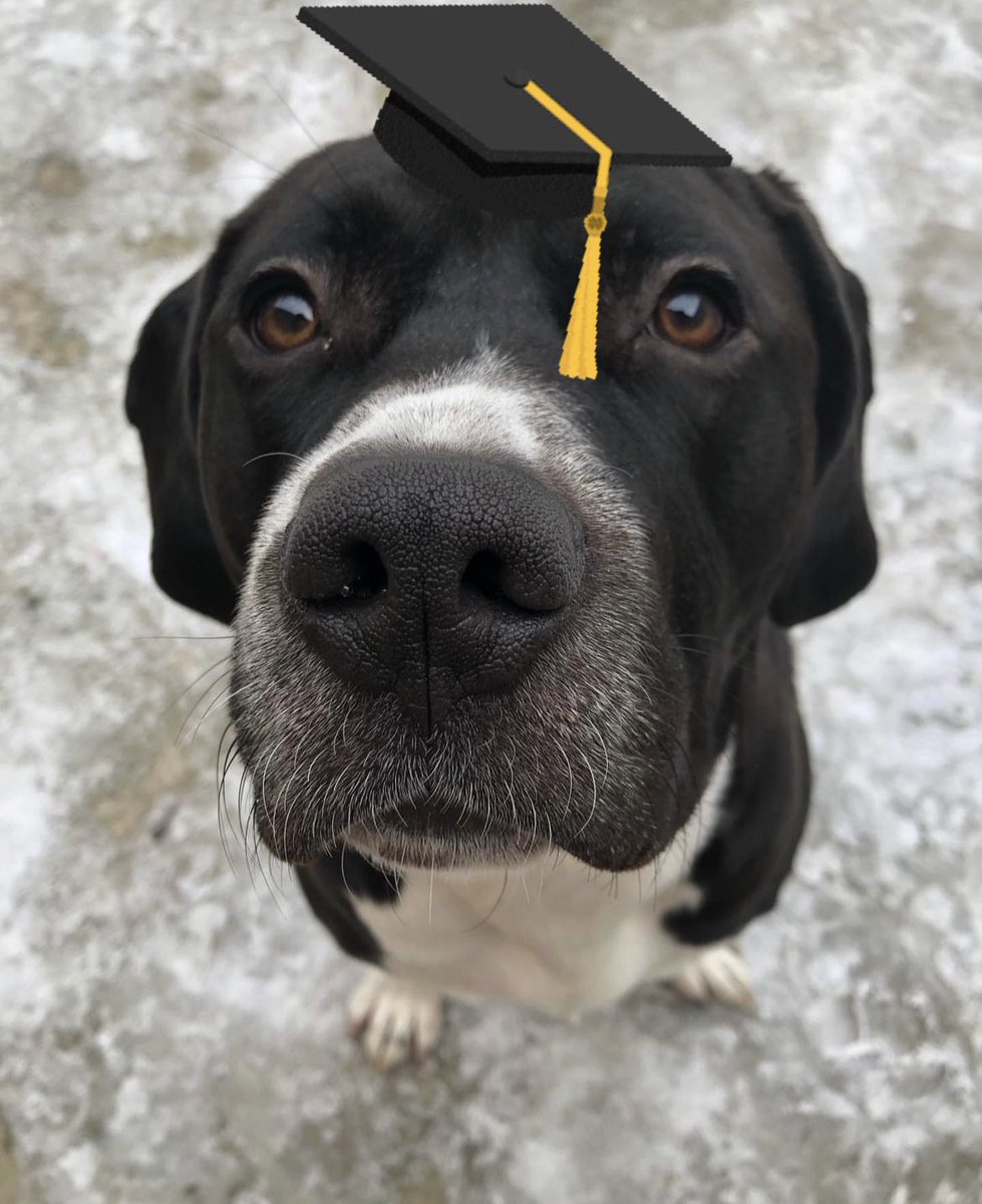 Congratulations to our Goodest Boy 🙏🏽#HumberGrad