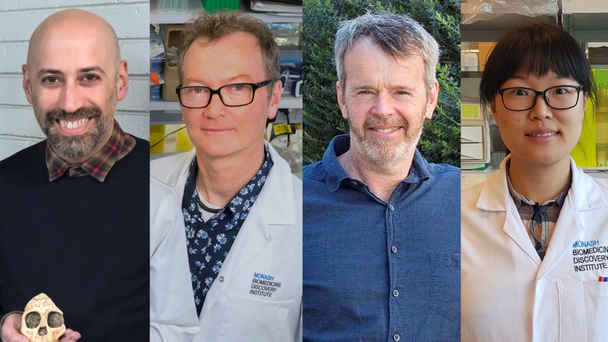 MonashBDI's tweet image. Congrats to A/Prof Luca Fiorenza @Palaeo_diet, A/Prof @Smith_CraigA, Prof Greg Stuart, &amp;amp; Dr @QiZhang85 @DavidovichLab on being awarded @arc_gov_au #DiscoveryProject grants. Find out more bit.ly/3tYXKkm #DP24