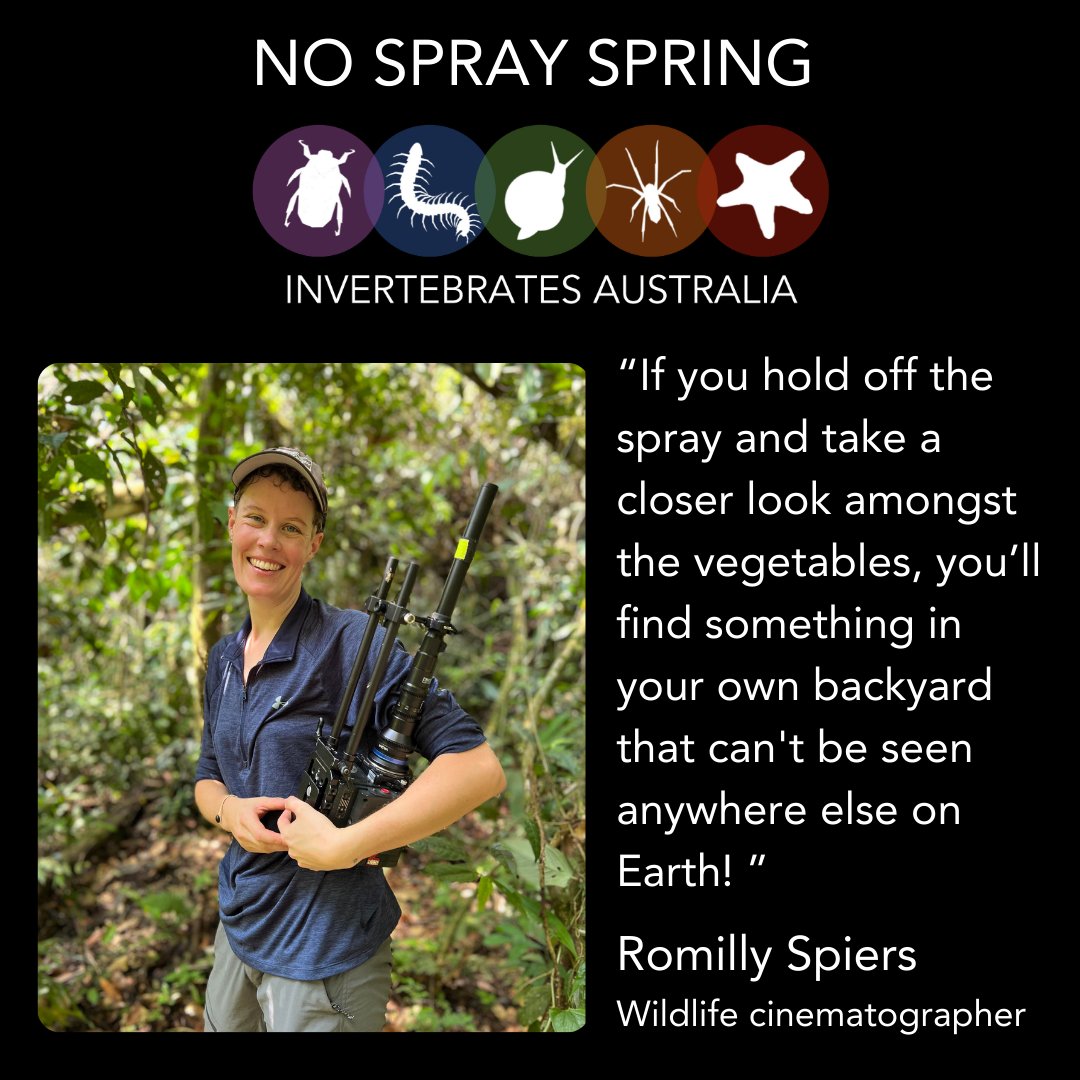 invertsau's tweet image. Romilly Spiers is a wildlife cinematographer, who brings macro stories to life! 
Here is why Romilly thinks you should join #NoSpraySpring
Photo: Nikki Waldron.
romillyspiers.com