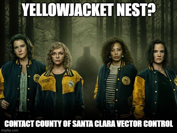 Don’t bee worried at your next picnic or outdoor gathering! The @SCCVCD can remove yellowjacket nests that are in public (not private) places. If you see one, contact them and they’d be happy to help. vector.sccgov.org/online-service…