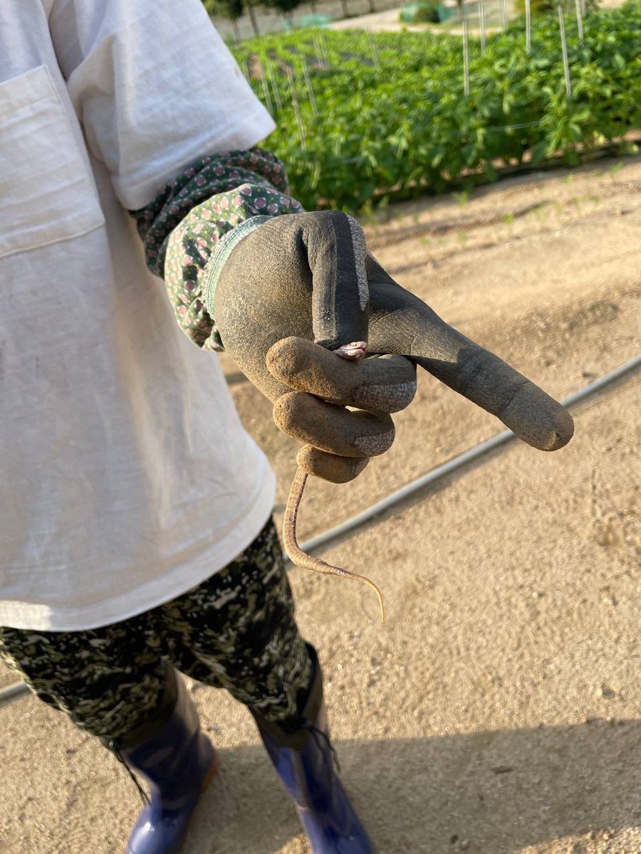 Company Soosoo tweet media