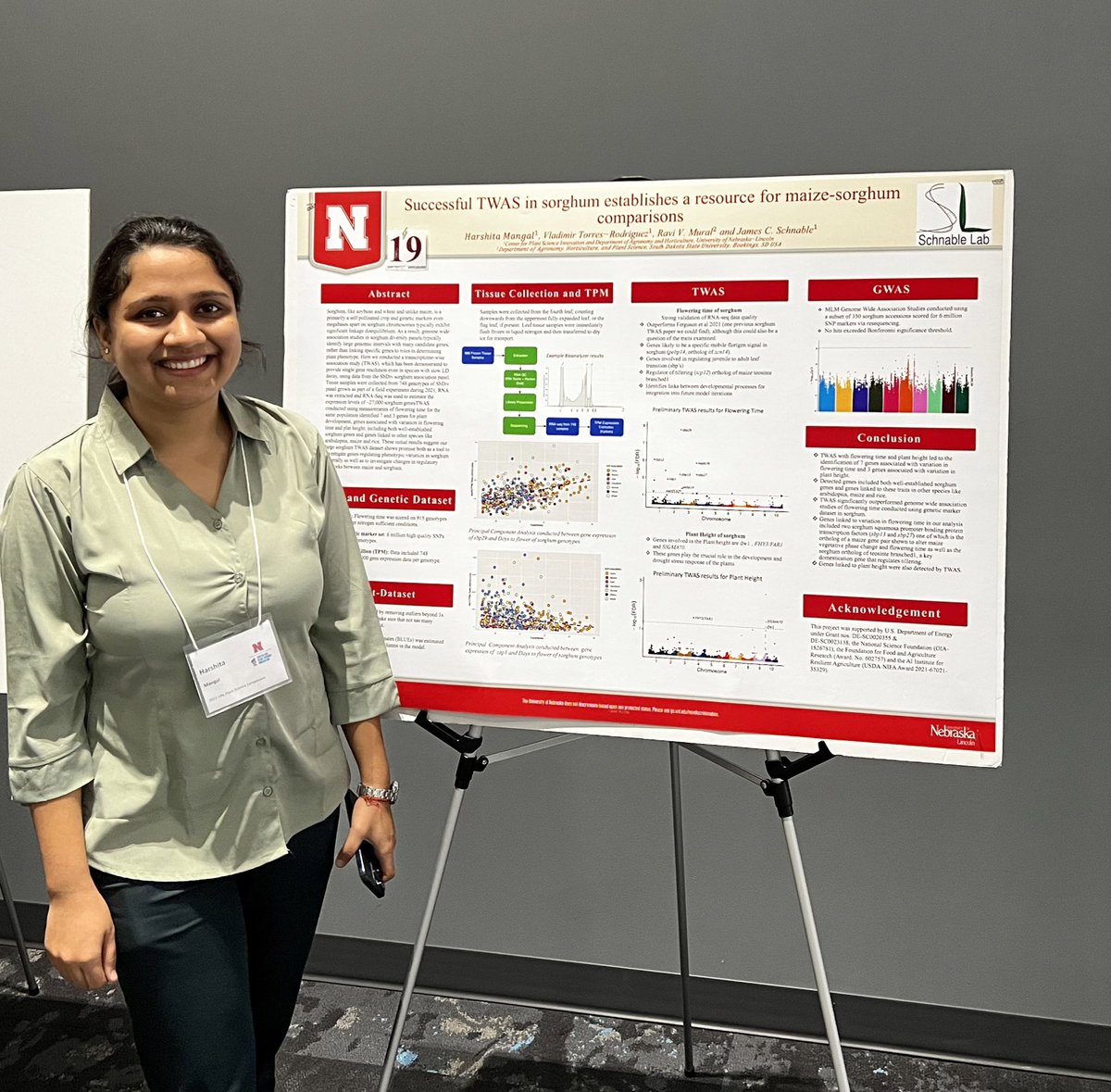 Only five months into her masters and <a href="/Harshita17_/">Harshita</a> has already mapped genes controlling flowering in a 700+ sorghum diversity panel using GWAS and TWAS. Hard to believe this is her first poster presentation ever.