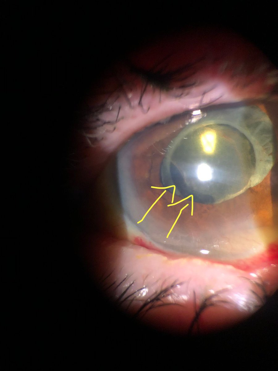 Dr. Iván tweet media