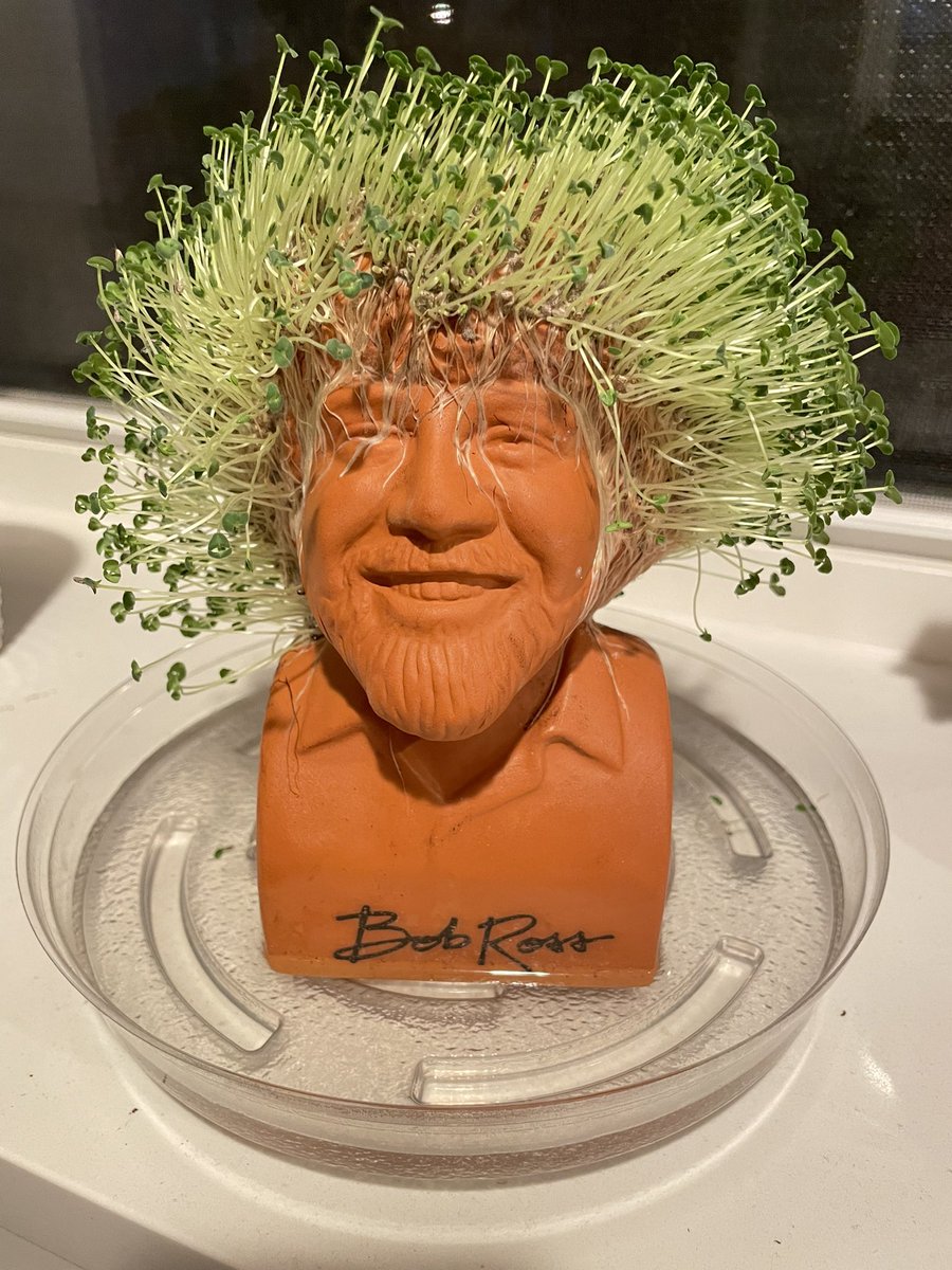 #BobRoss starting to look pretty good.