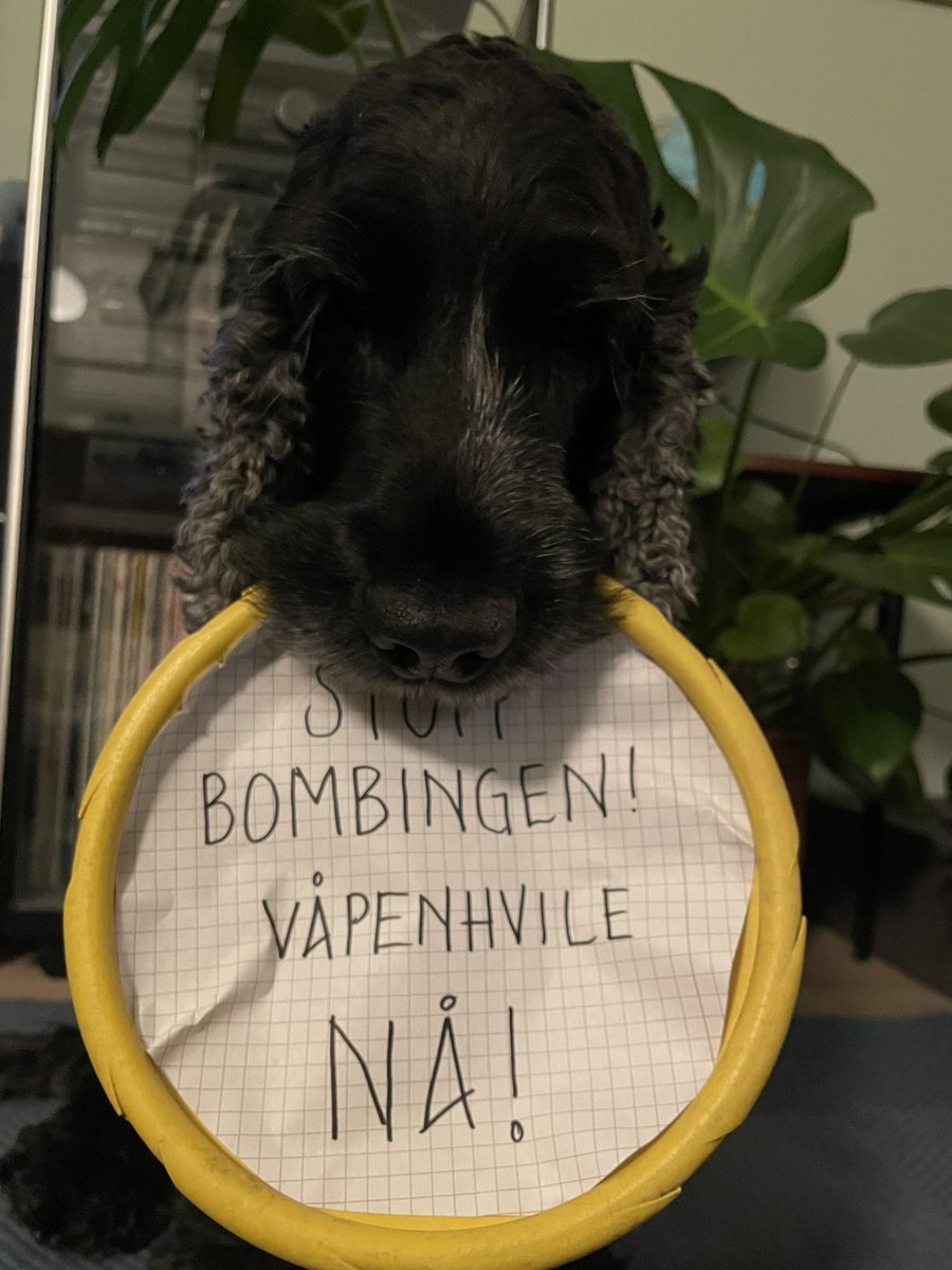 Mette So Yun Sørensen tweet media