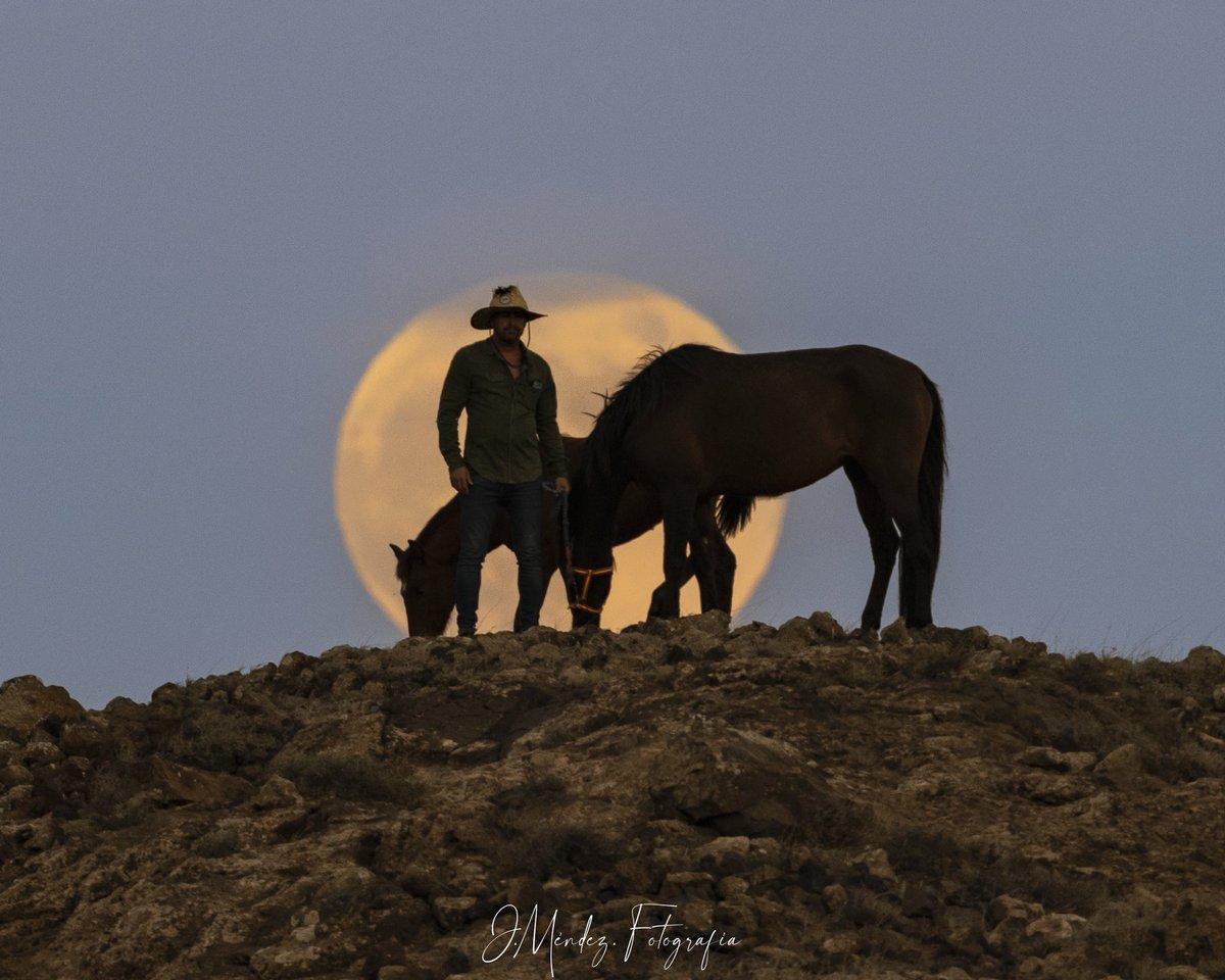 Luna de octubre junto a mi amigo Oscar con su potro y yegua. 

La foto fue tomada en macher Lanzarote. 
<a href="/A3Noticias/">Antena 3 Noticias</a> 
<a href="/AGMCan/">AGMC - Actualidad Geográfica-Meteorológica de 🇮🇨</a> 
<a href="/esa/">European Space Agency</a> 
<a href="/esa_es/">ESA España</a> 
<a href="/tiempobrasero/">Tutiempo</a> 
<a href="/photopills/">PhotoPills</a>
<a href="/NatGeoEsp/">National Geographic España</a> 
<a href="/TiempoRTVC/">El Tiempo RTVC</a> 
<a href="/VickyPalmaMeteo/">Vicky Palma</a>
<a href="/ElTiempo_tve/">El Tiempo en TVE</a> 
<a href="/ElTiempoA3/">El Tiempo de Antena 3</a> 
#LUNA 
#caballo
#fullmoon 
#youresa
#ESA