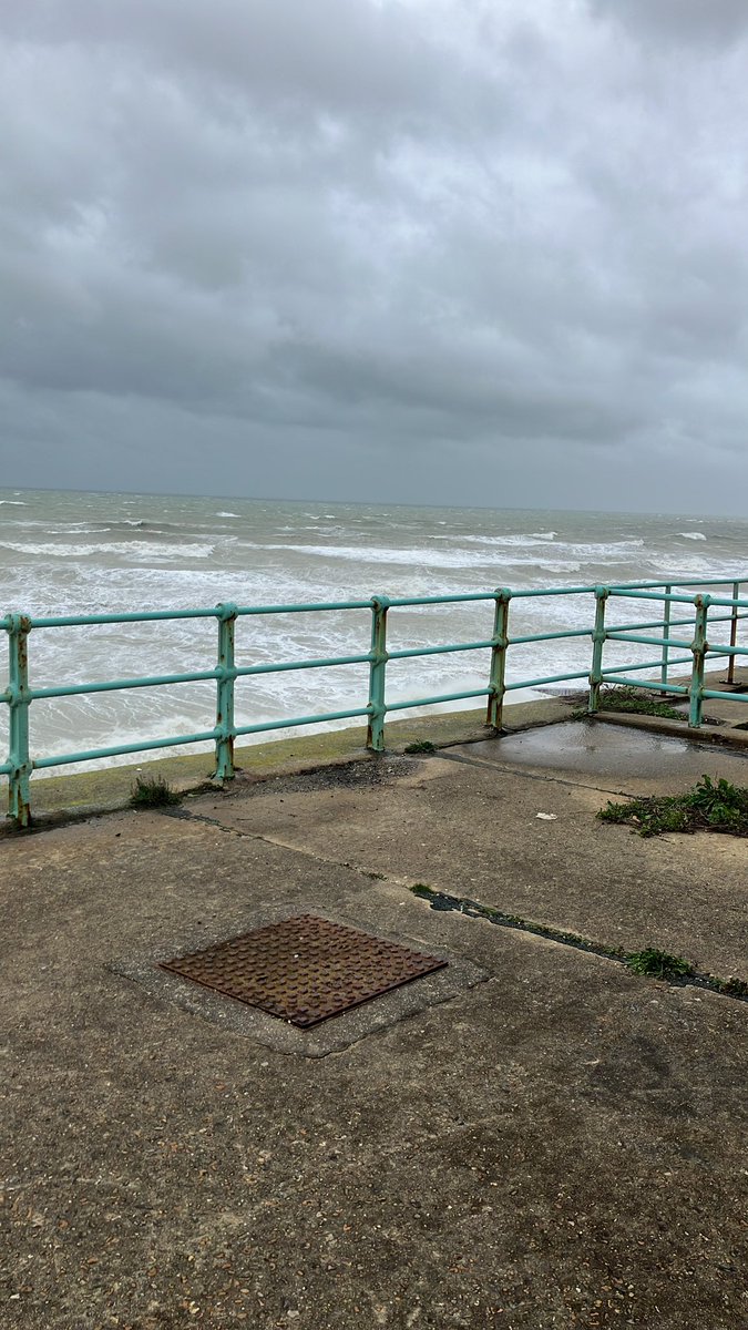 Jamie Cedar tweet media