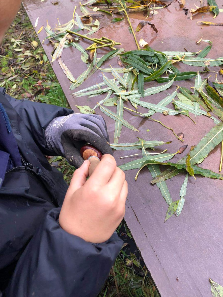 LangwathbyCe's tweet photo. Owls were back in #ForestSchool this afternoon and were very creative making #autumn mobiles. They used the hand drills and practiced their knot tying. #outdooreducation #natureinschools #naturelovers #letsgooutside #bringingoutthebest https://t.co/aNtTZb0nDg