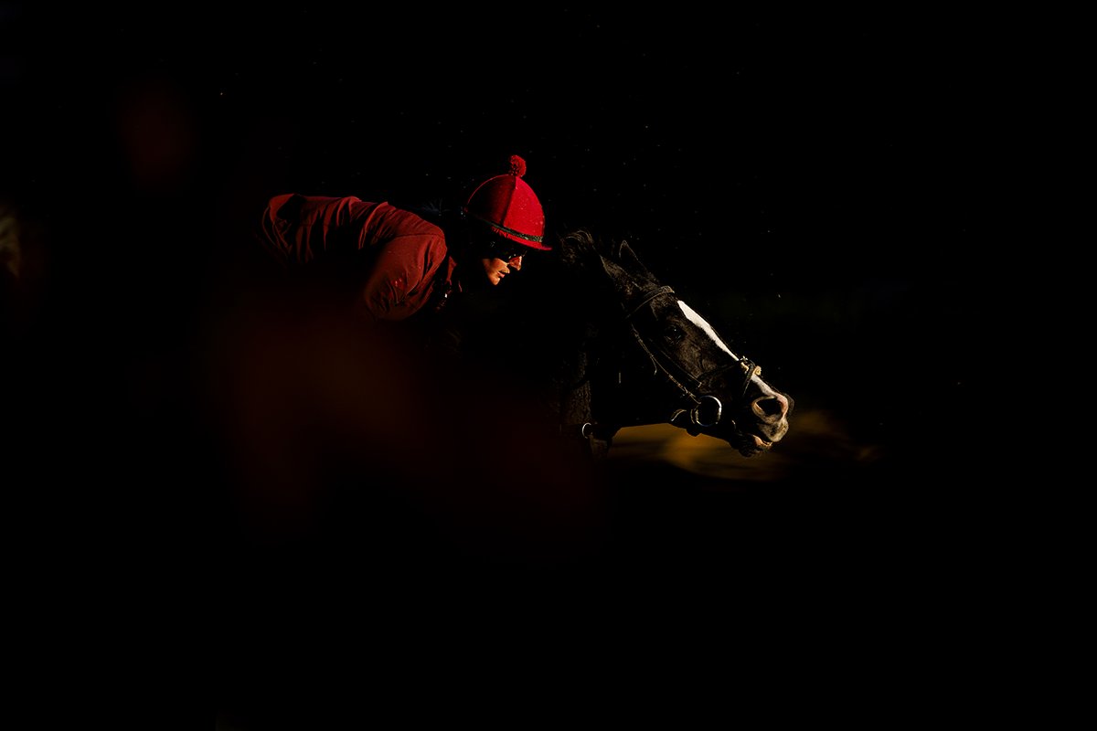 A_Evers's tweet photo. I know I posted my daily shot, but I came across this in the edit and loved it. Here horses backtracking blocked my view except for this tiny window for Auguste Rodin. I got to see Sunday Silence race. Wish I coulda photographed him. This is next best! #BreedersCup https://t.co/sxvyIHhRZM