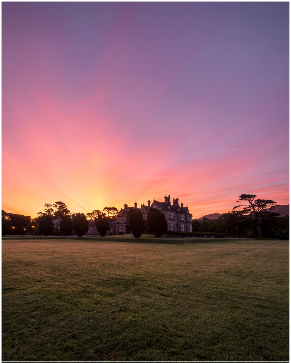 Sunrise at @MuckrossHouse , Autumn/Winter sunrises and sunsets just hit that bit different 😍 @DKillarney @KillarneyGuide @killarneydotie @ExplorKillarney @TourismIreland @GoToIreland @DiscoverIreland @Failte_Ireland #killarney #sunrise