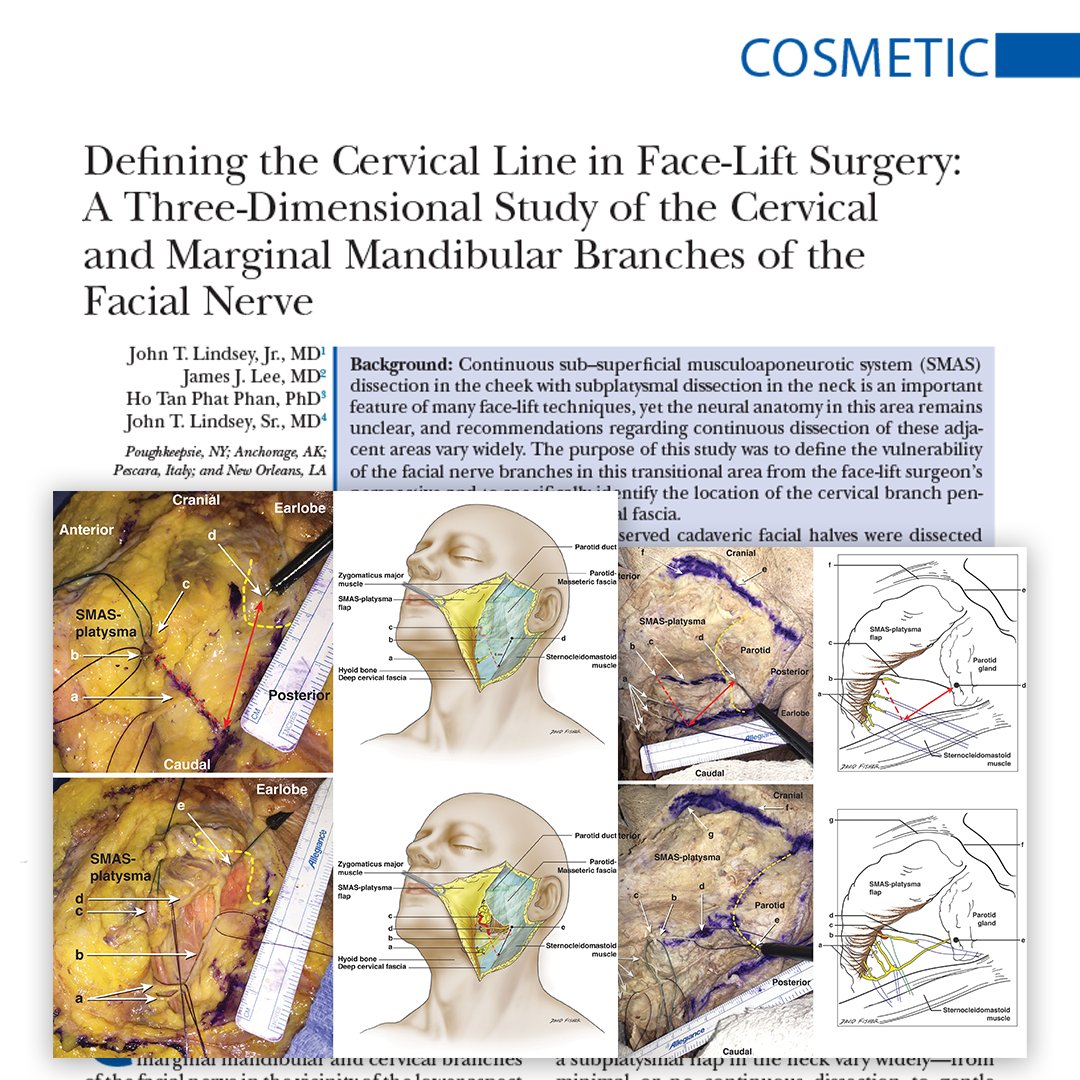 Plastic and Reconstructive Surgery tweet media