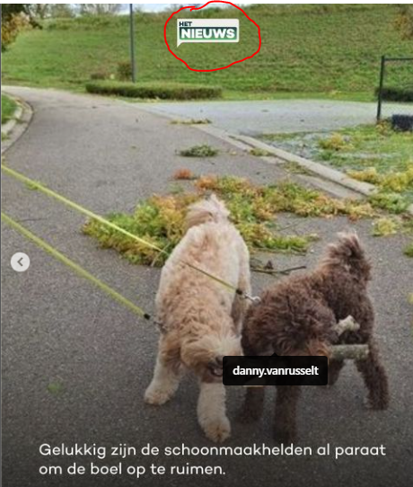 DANNY VANRUSSELT tweet media