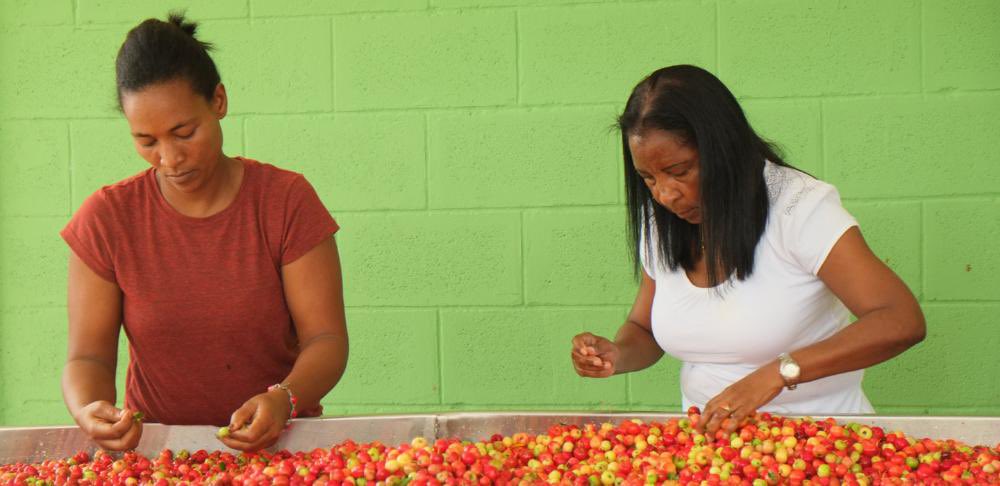 ¡Destacamos el trabajo de las mujeres rurales!

🇩🇴<a href="/RCastro_CR/">René Castro</a> y Ana Nestorovic del FIDA participaron en el foro "Aportes de la mujer rural al desarrollo de #RepublicaDominicana". 

Los proyectos del fondo incluyen el  enfoque de igualdad de género.

<a href="/mineconomiard/">Ministerio de Economía, Planificación y Desarrollo</a> <a href="/AgriculturaRD/">Ministerio de Agricultura RD</a>