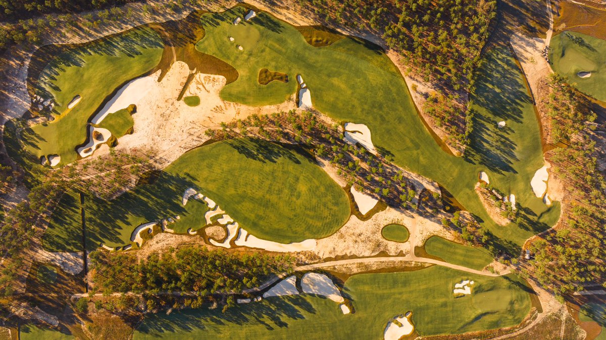 Fried Egg Golf tweet media