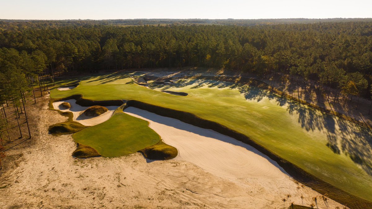 Fried Egg Golf tweet media