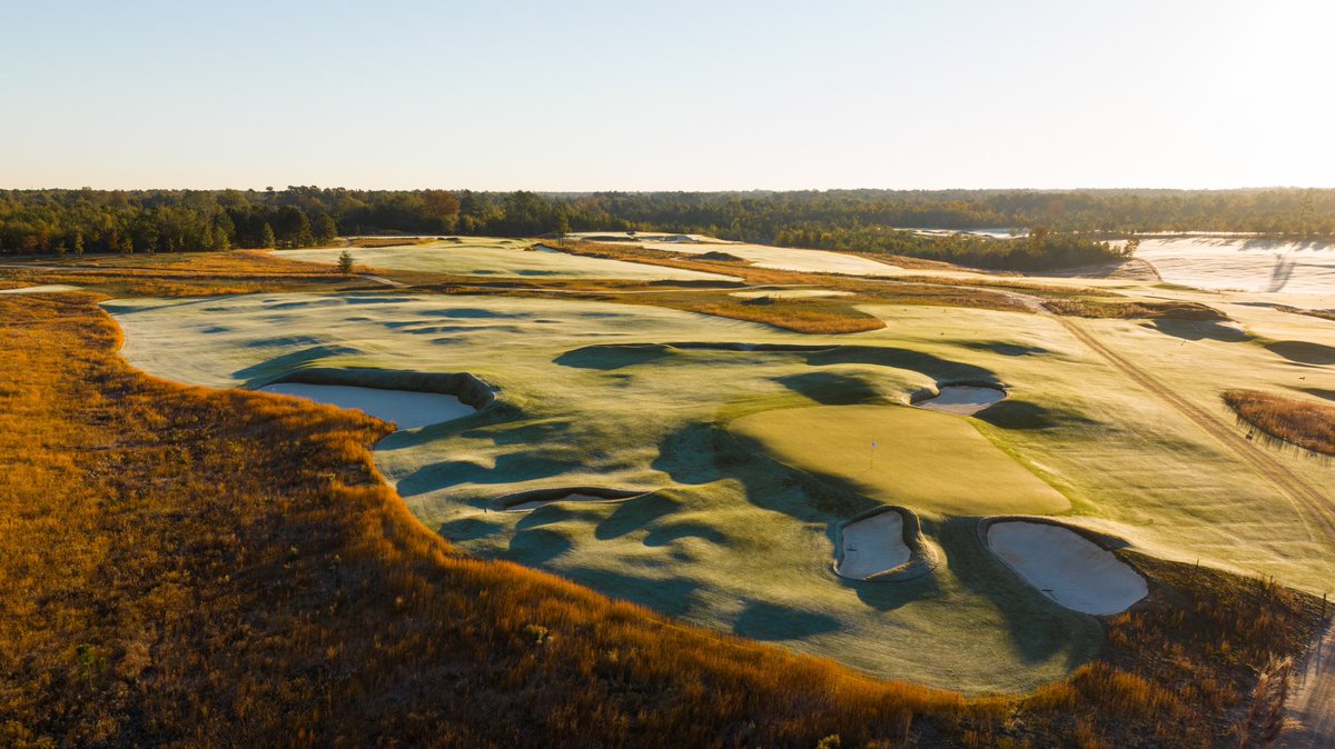 Fried Egg Golf tweet media