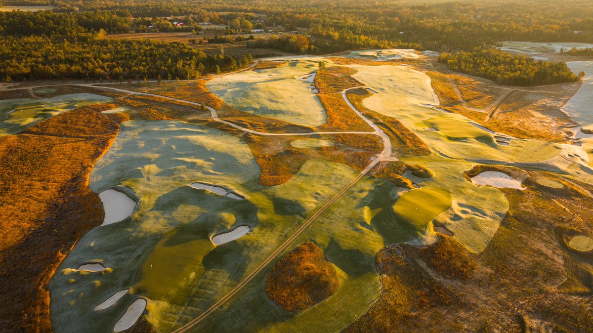 Fried Egg Golf tweet media