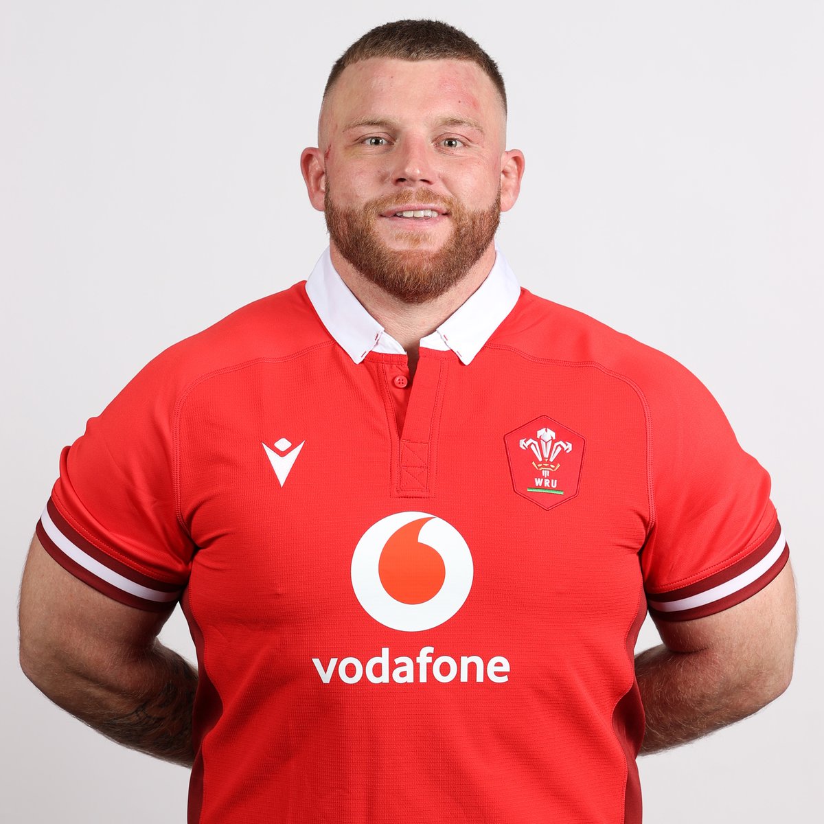 Dragons RFC 🐉 tweet media