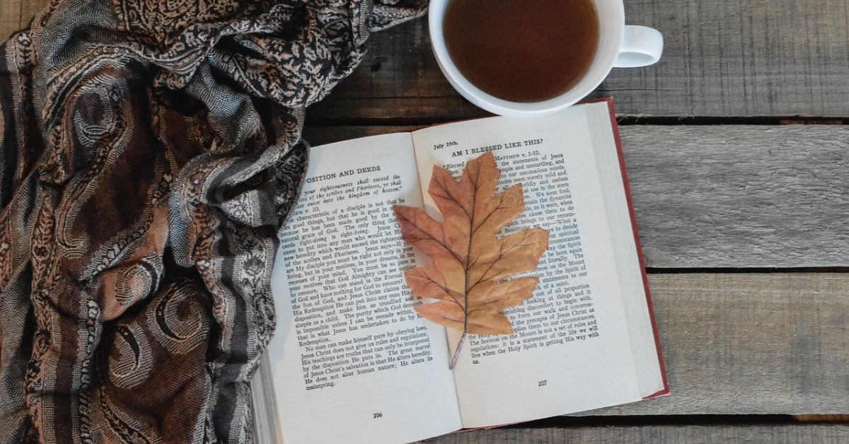 illibraio's tweet photo. "Quando una persona cara ci dà un libro da leggere, la prima cosa che facciamo è cercarla tra le righe." - Daniel Pennac #IlLibraioCitazioni https://t.co/hxb2HzotmM